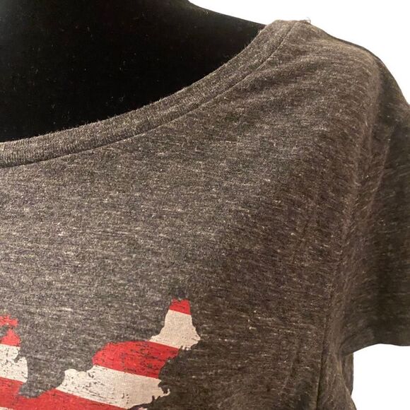 State Of Mine Gray America US Flag Patriotic Short Sleeve T-Shirt Size M - Picture 5 of 12